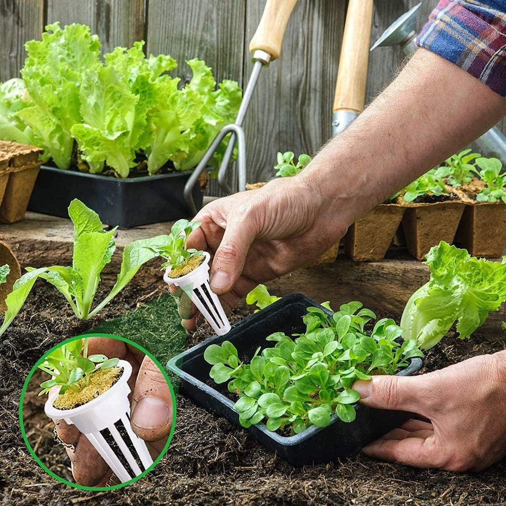 Pack Recharges "EasyGrow" (50 Éponges + Paniers) - Pour Smart Garden
