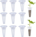 Pack Recharges "EasyGrow" (50 Éponges + Paniers) - Pour Smart Garden