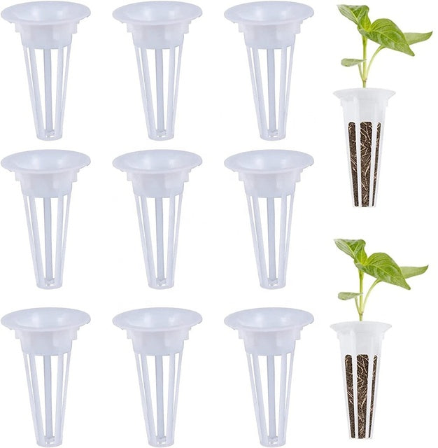 Pack Recharges "EasyGrow" (50 Éponges + Paniers) - Pour Smart Garden
