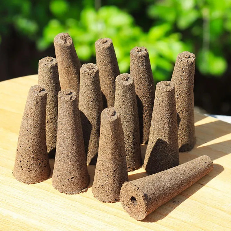 Produit K2 LifeTech - Mini Jardin de Bureau - K2 Série XS (6 plantes)