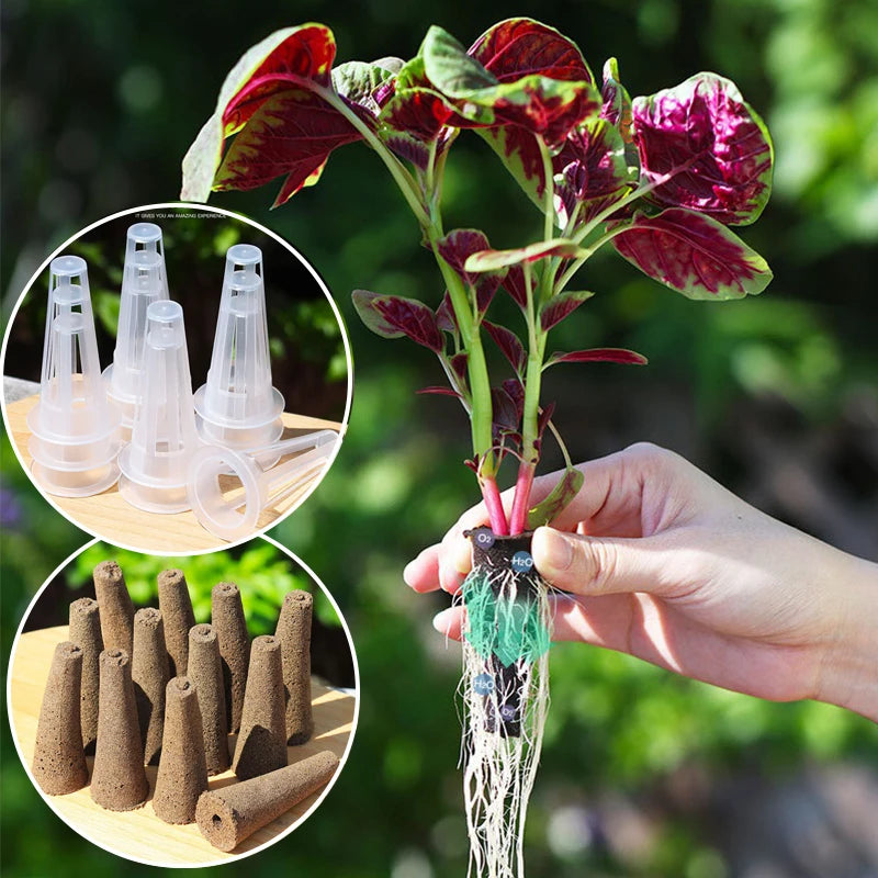 Mini Jardin de Bureau - K2 Série XS (6 plantes)
