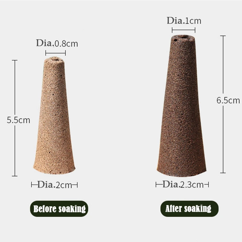 Mini Jardin de Bureau - K2 Série XS (6 plantes)