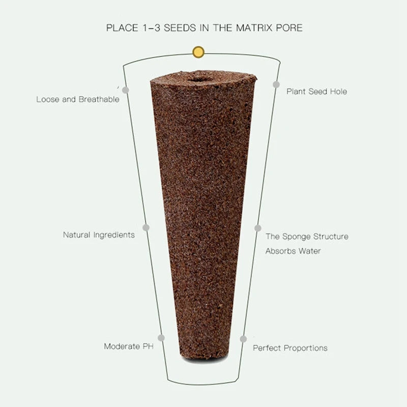 Produit K2 LifeTech - Mini Jardin de Bureau - K2 Série XS (6 plantes)
