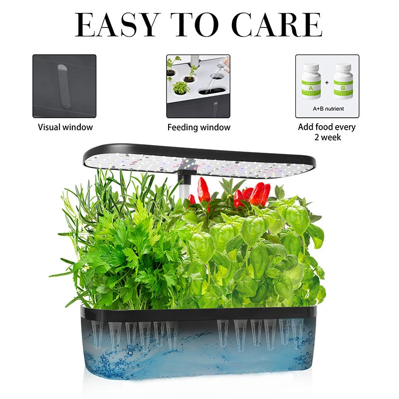 Produit K2 LifeTech - Mini Jardin de Bureau - K2 Série XS (6 plantes)