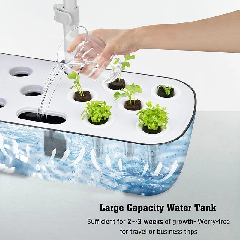 Produit K2 LifeTech - Mini Jardin de Bureau - K2 Série XS (6 plantes)