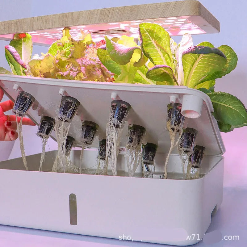 Mini Jardin de Bureau - K2 Série XS (6 plantes)