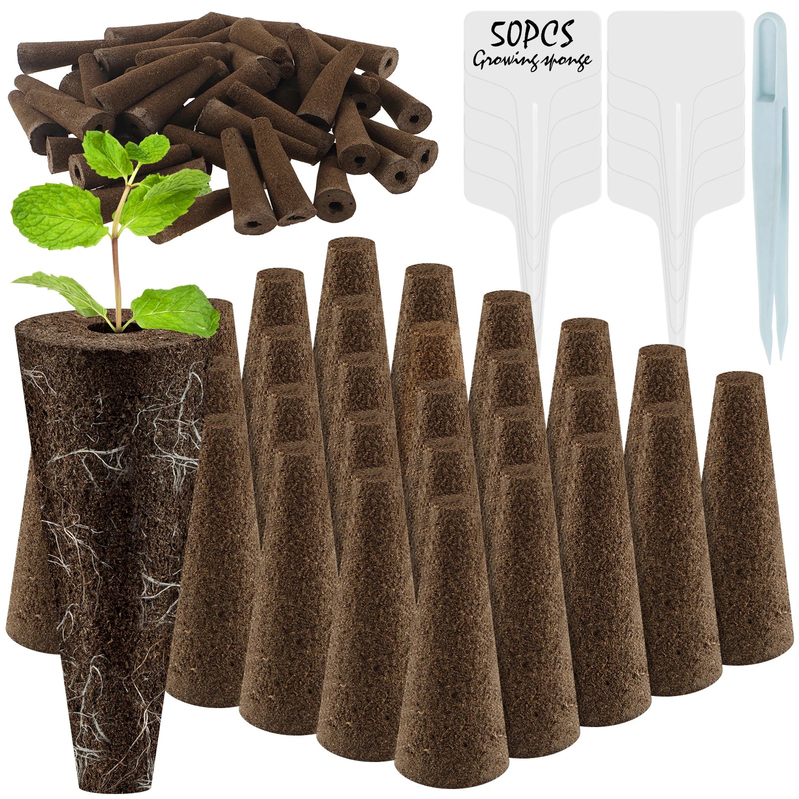 Produit K2 LifeTech - Kit de 100 Éponges de Croissance (K2 Recharges)
