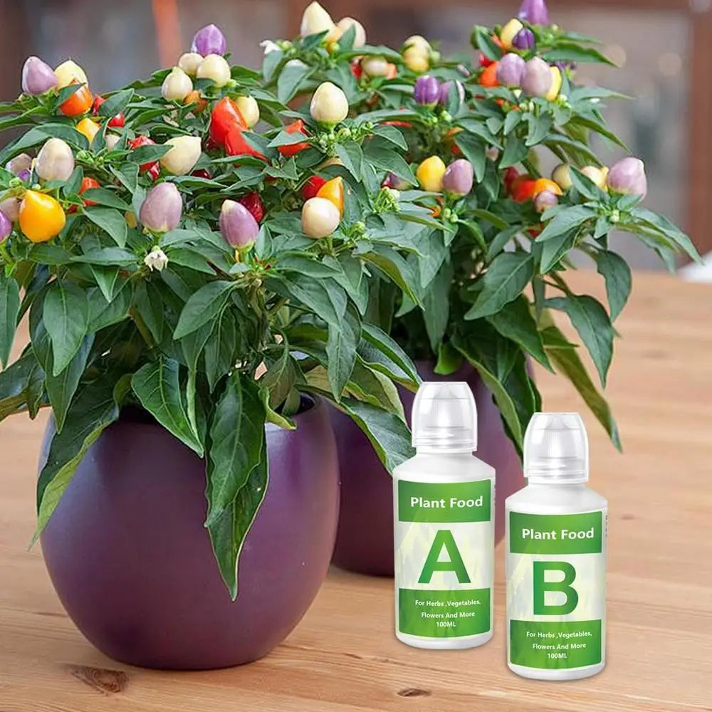 Produit K2 LifeTech - Solutions Nutritives Hydroponiques A & B (K2 Vitalité)