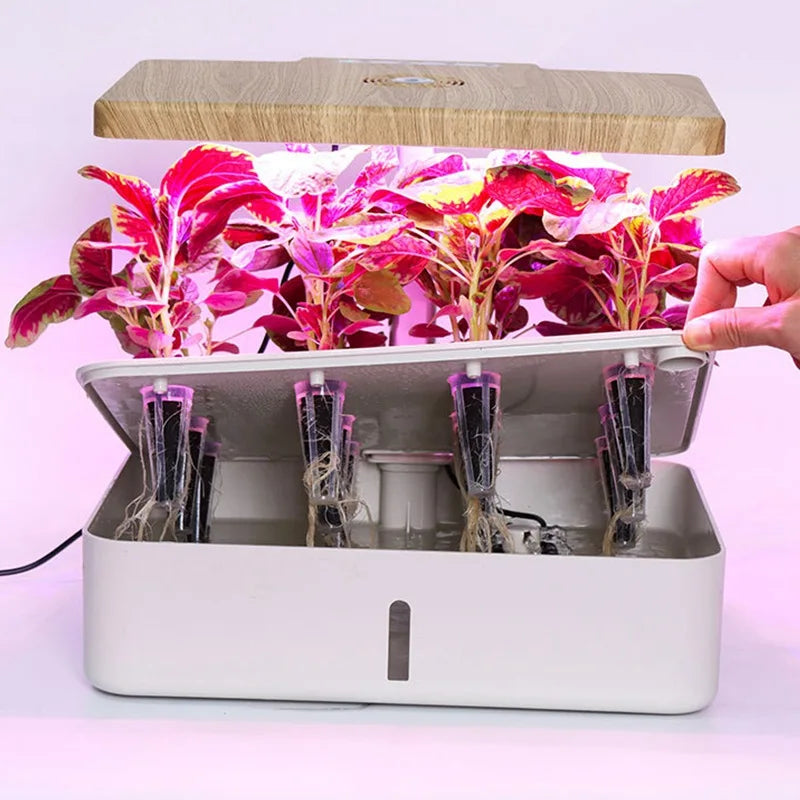 Mini Jardin de Bureau - K2 Série XS (6 plantes)