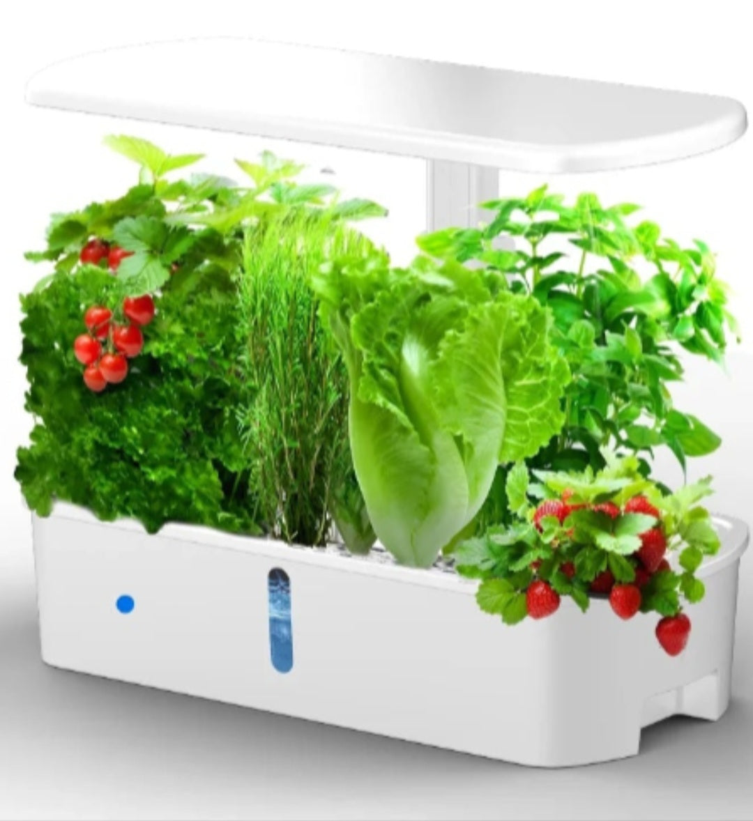 Kit Hydroponique Smart Garden - Série T (Compact)