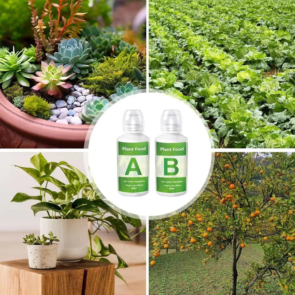 Produit K2 LifeTech - Solutions Nutritives Hydroponiques A & B (K2 Vitalité)
