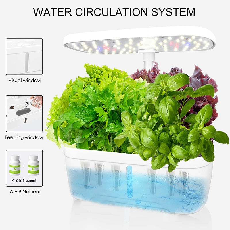 Mini Jardin de Bureau - K2 Série XS (6 plantes) - Utilisation au quotidien et bienfaits